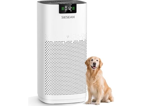 SIESEAN Air Purifier for Home