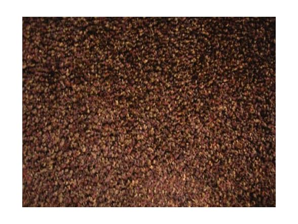 Guardian  Indoor Wiper Floor Mat