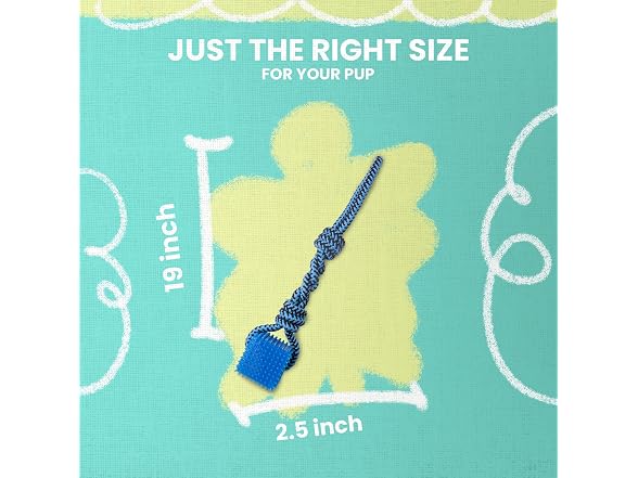 SNUG AROOZ Snugarooz Spike-O-Cube Assorted Colors