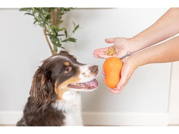 Chuckit! Tumble Teez Dog Treat Puzzle Toy, Medium
