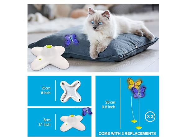 ALL FOR PAWS Interactives Flutter Bug