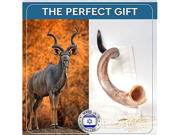 YOMTOV-SHALOM | Kudu Shofar 