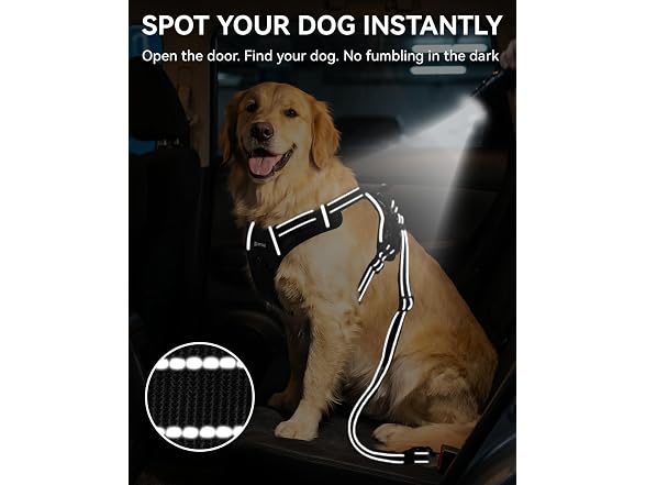 Joytale 3-in-1 Bungee Dog Seat Belt