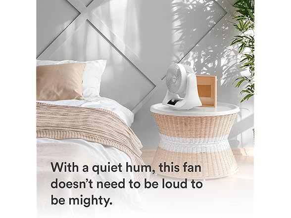Everdure 9” Oscillating Desk Fan