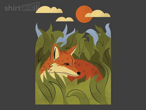 Fox Lying in the Grass