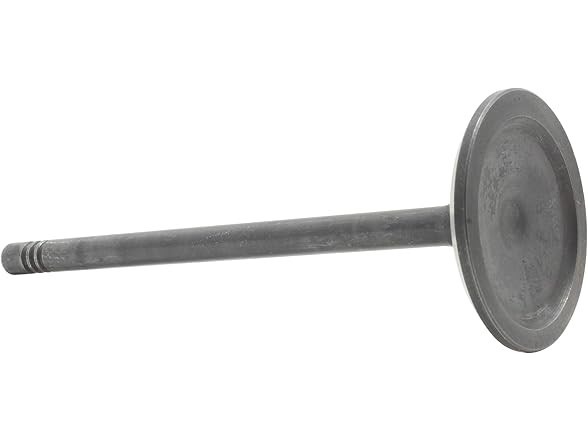 DNJ IV3138 Intake Valve for 2002-2006 