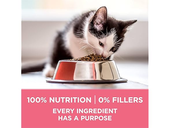 Purina ONE High Protein, Natural Dry Kitten Food
