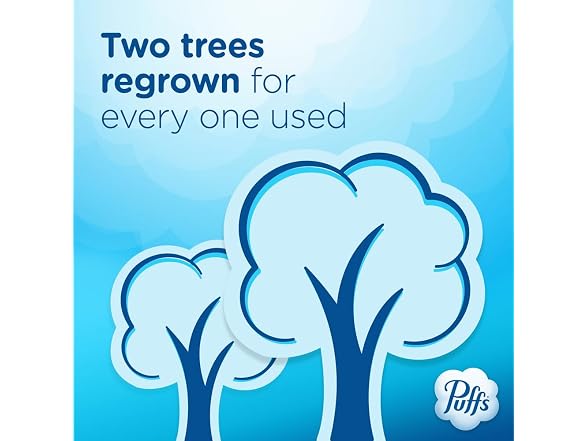 Puffs Facial Tissues Plus Lotion 8 Family Box