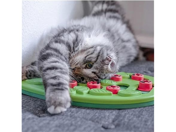 RXJPASD Cat Treat Puzzle and Scratch Board Combo Toy