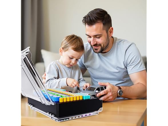 Tututry Battery Organizer Box 262-Count