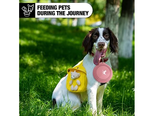 Rest-Eazzzy 2-Pk Silicone Collapsible Dog Bowls Grey, Pink