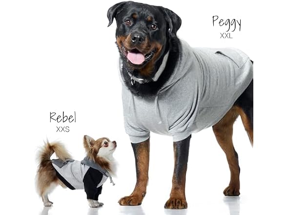 Pet Passion Rocky II Dog Hoodie, Pink Half Camo, XS