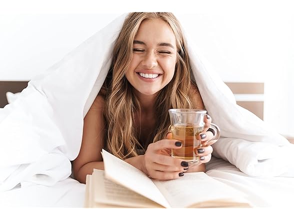 Elegant Comfort 2Pk Flat Sheet-Full/Queen