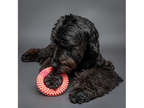 NOAH & PAW Luxury Dog Toy, TPU- Ring, Pink