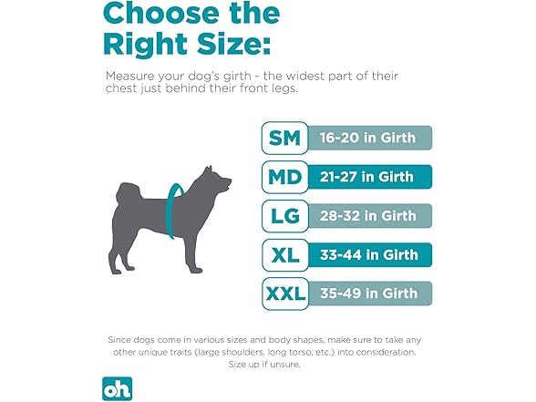 Outward Hound Boulder Adventure Adjustable Dog Harness