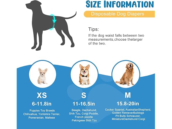 Ypfyed Dog Diapers Male, Incontinence - Gallery 6