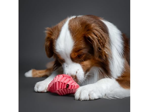 NOAH & PAW Luxury Dog Toy, Dog Rope Toy- Football, Pink