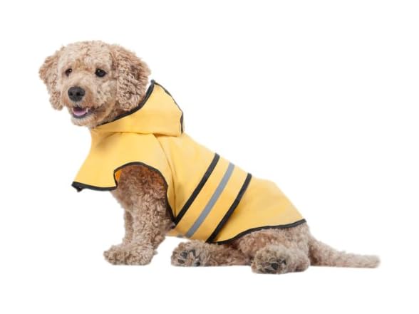 Fashion Pet SPOT Rainy Days Slicker