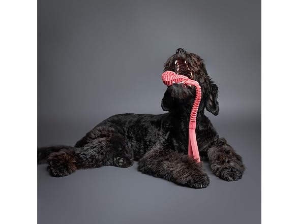 NOAH & PAW Luxury Dog Toy, Dog Rope Toy- Sling, Pink
