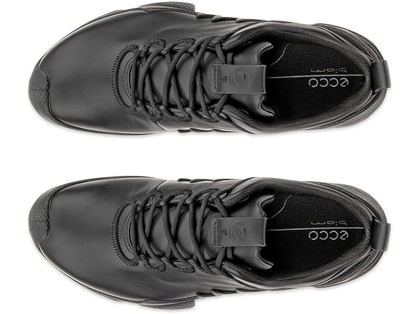 Ecco Biom Aex Men's Shoe