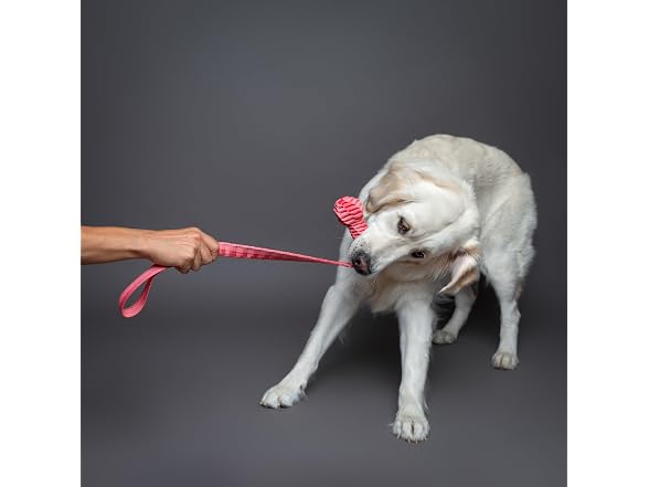 NOAH & PAW Luxury Dog Toy, Dog Rope Toy- Sling, Pink