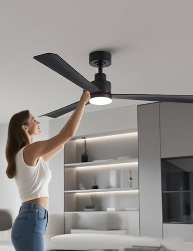 Parrot Uncle F6014BK 52 Inch 52 Inch Ceiling Fans with Ligh
