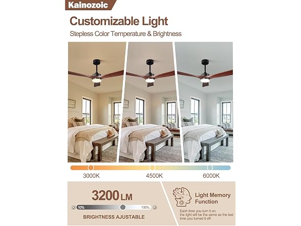 Kainozoic 52 Inch Ceiling Fan with Light