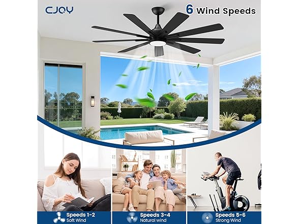 CJOY 62in Ceiling Fan 9-Blade 3CCT