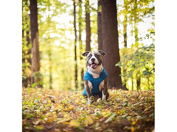 Kurgo Reversible Dog Jacket, Size Medium