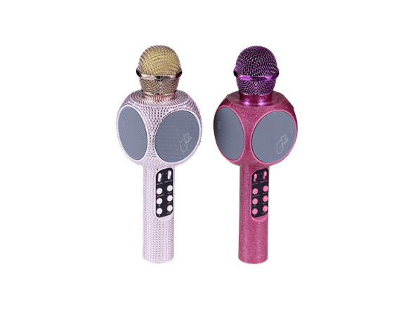 Wireless Karaok Wireless Speaker