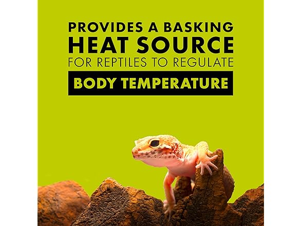 Zilla Incandescent Spot Bulbs Day White 100 Watts