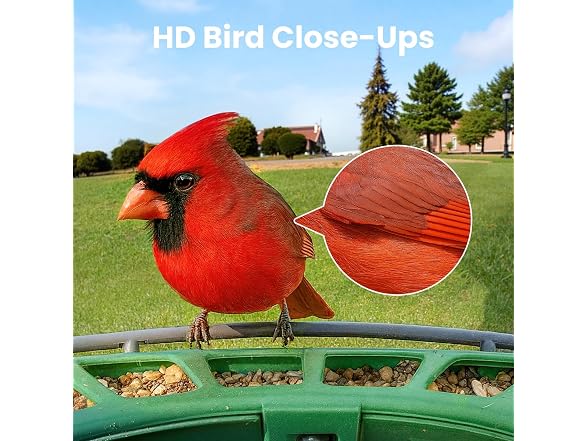 Birdfy 2 Smart Bird Feeder with Camera