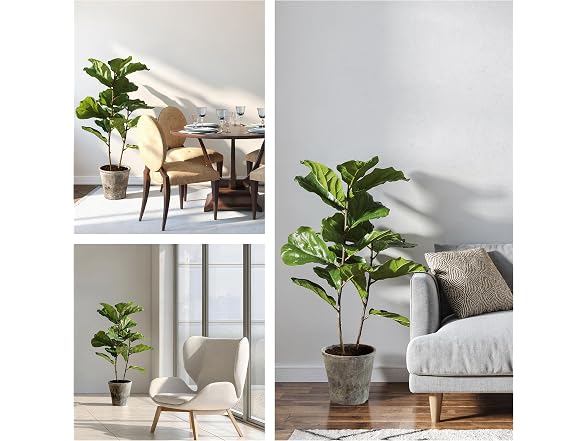 National Tree Company 43 Inch Artificial Fiddle Leaf Fig Tree in Clay Pot