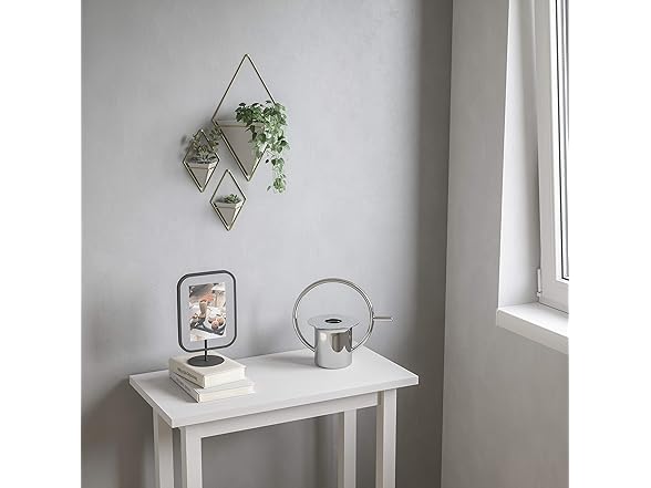 Umbra Trigg Hanging Planter Wall Decor