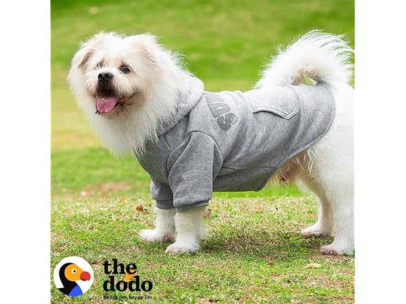 The Dodo Heather Gray ‘Sundays’ Hoodie for Dogs