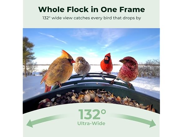 Kiwibit Solar Smart Bird Feeder 4K AI