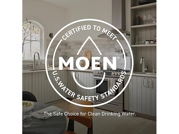 Moen 3-5/8" Showerhead, Nickel