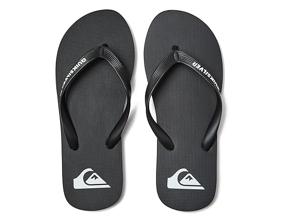 Quiksilver Men's Molokai Flip Flop (6)