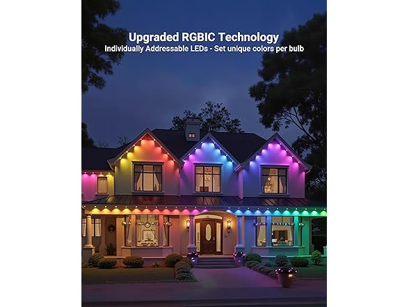 Permanent Outdoor Lights | 100ft