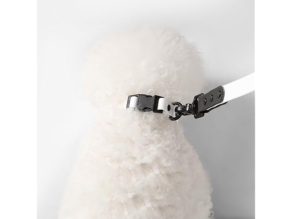Luna Small 8FT Adjustable Waterproof Hands-Free Leash
