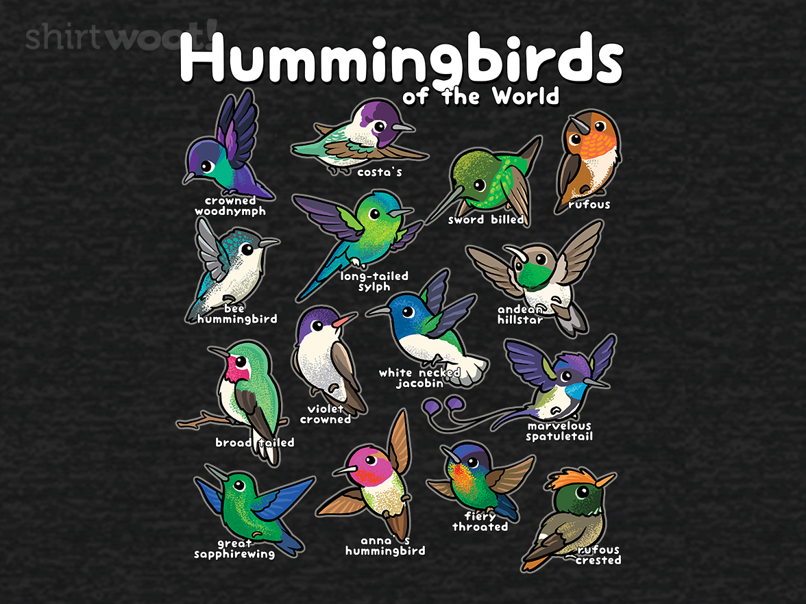 World Hummingbirds - Gallery 4