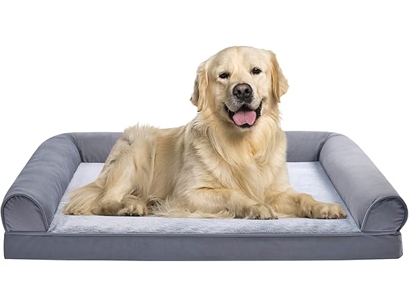 Amazon Basics Foam Living Room Pet Bed