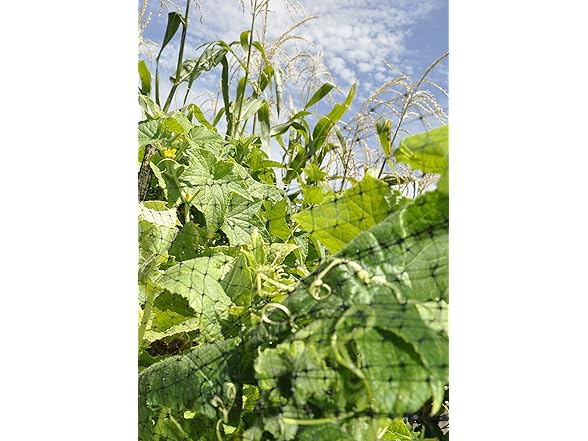 Jobe's Organics Jobes LG400171 Deer Barrier Fencing,