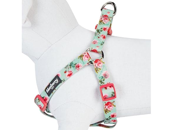 Blueberry Pet Essentials Step-in Spring Scen
