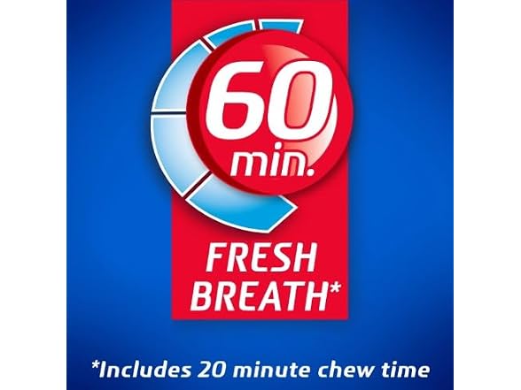 Dentyne Ice Sugar Free