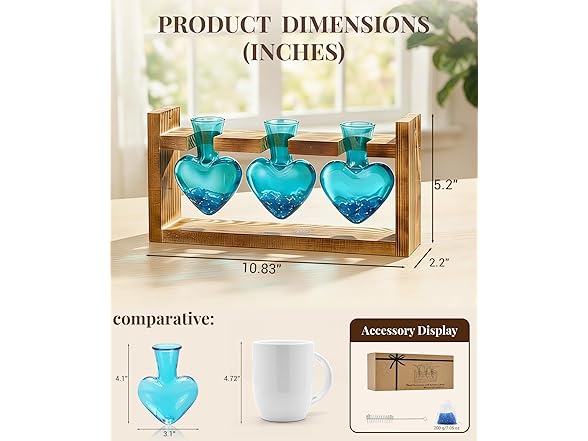 3 Bulb Glass Plant Propagation Station