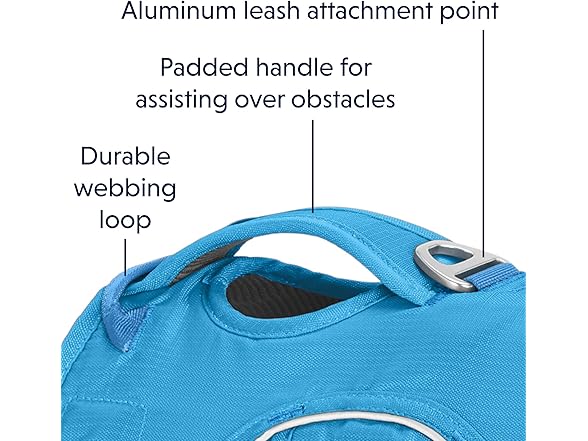 Ruffwear, Web Master, Multi-Use Support Dog Harness