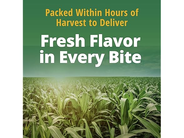 12PK Del Monte Whole Kernel Gold Corn No Salt Added