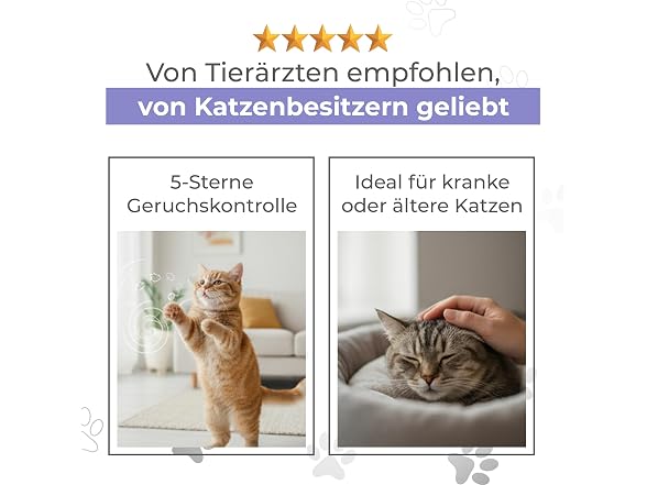 Eco Pet Box Disposable Litter Box 3 ct