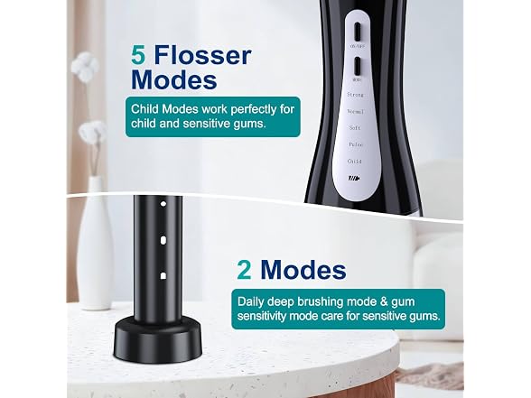 Water Dental Flosser and Electric